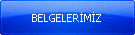 BELGELERMZ