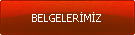 BELGELERMZ