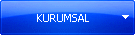 KURUMSAL